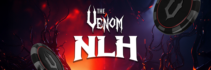 900x300 Logos NLH